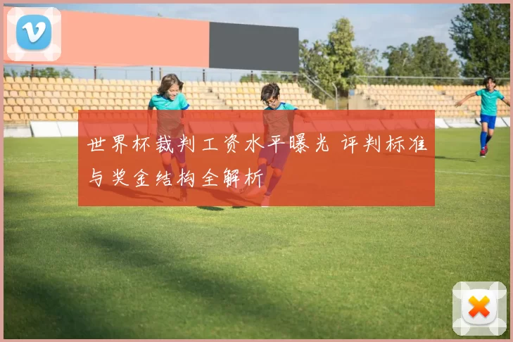 世界杯裁判工资水平曝光 评判标准与奖金结构全解析