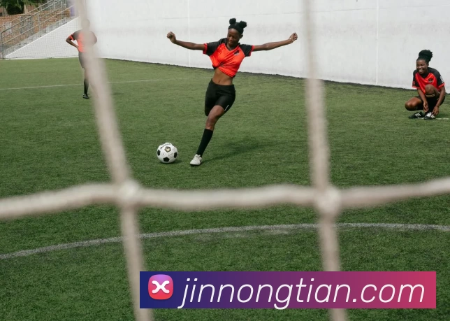 App Interface Preview